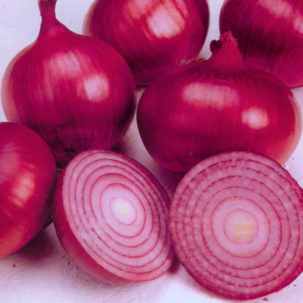 Nashik Farm Fresh Onion Sourcing